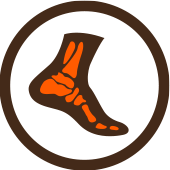 Pictopodo
