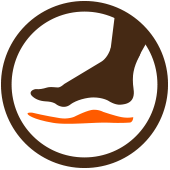 Pictosteunzolen